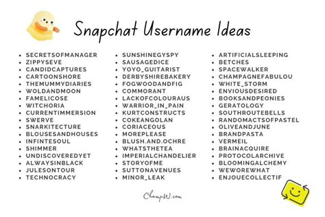 snapchat aesthetic usernames|207+ Unique Snapchat Username Ideas for Everyone